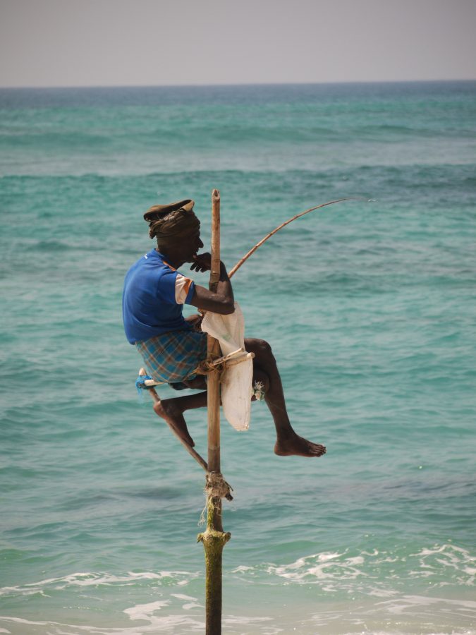 Stilt Fisherman, near Weligama, Sri Lanka