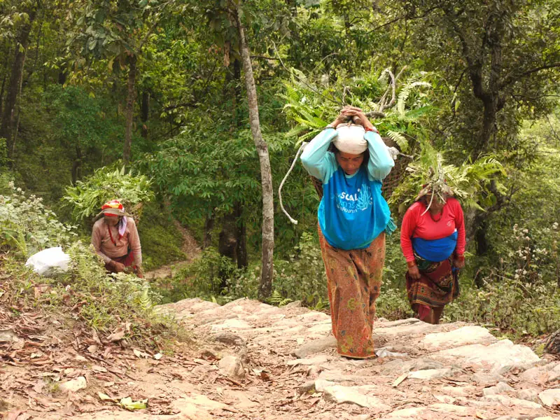 Local women carrying animal feed along the path we hiked to the World Peace Pagoda