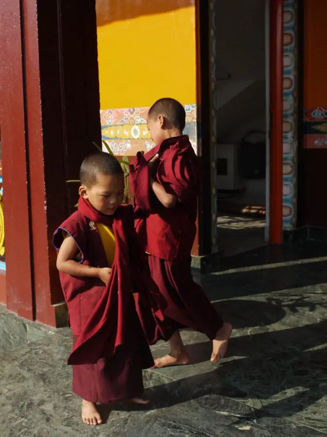 Young monks at Jangchub Choeling Gompa in the Tibetan refugee settlememt Tashi Palkhel