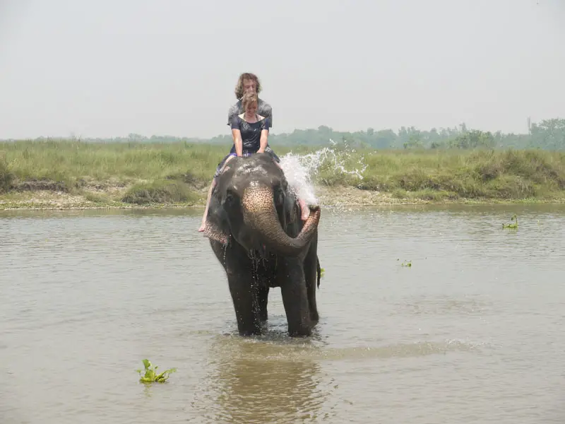 Elephant bath time, Nepal