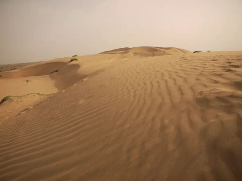 Sand Dunes, Thar Desert, Jaisalmer