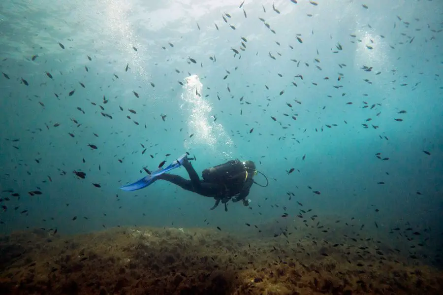 Scuba Diving in Gozo, Malta