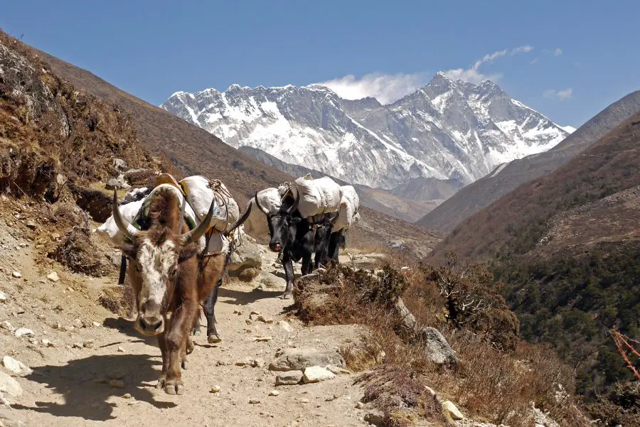 22 Stunning Photos Of The Everest Base Camp Trek 