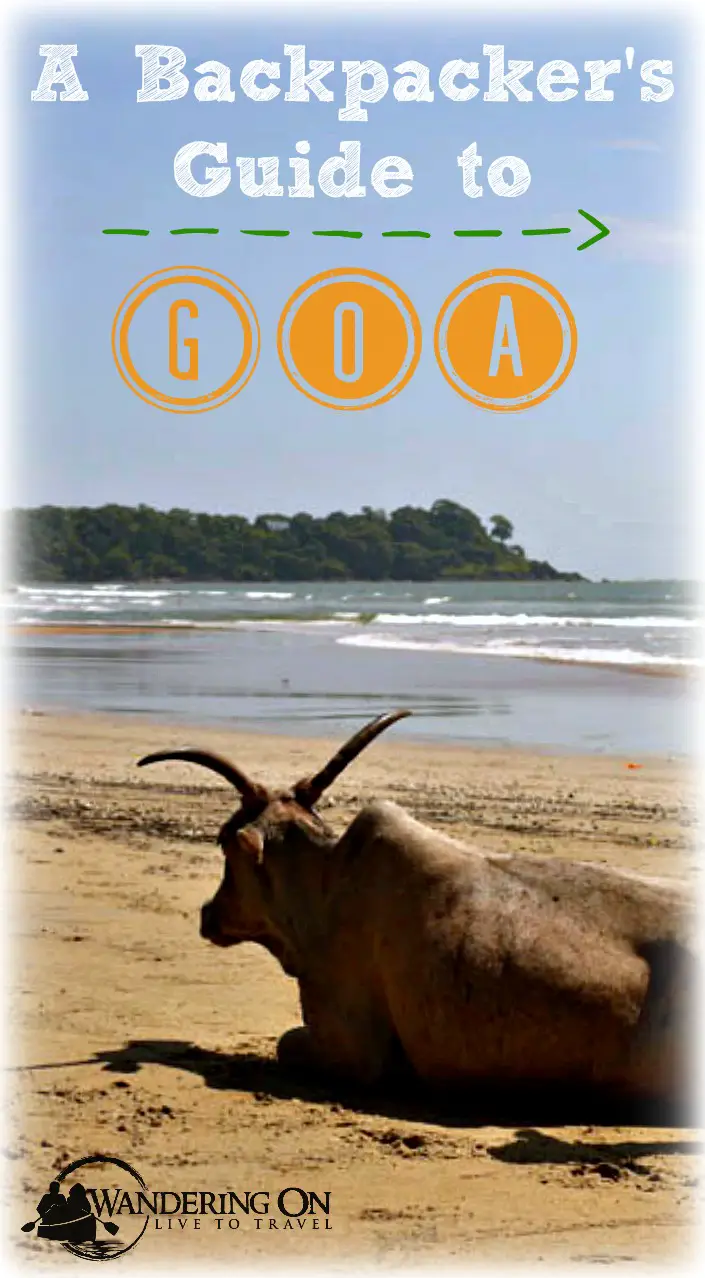 Pin it - A Backpacker's Guide to Goa