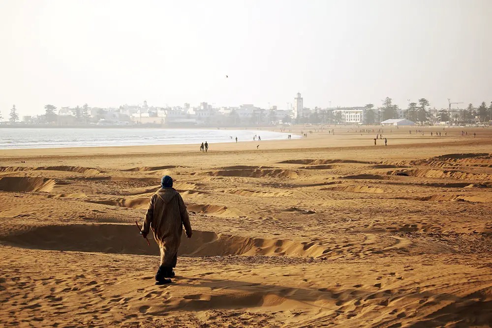 Local man makes his way across the sands of Camels chilling on the beach at Essaouira beach - Morocco's kitesurfing mecca.