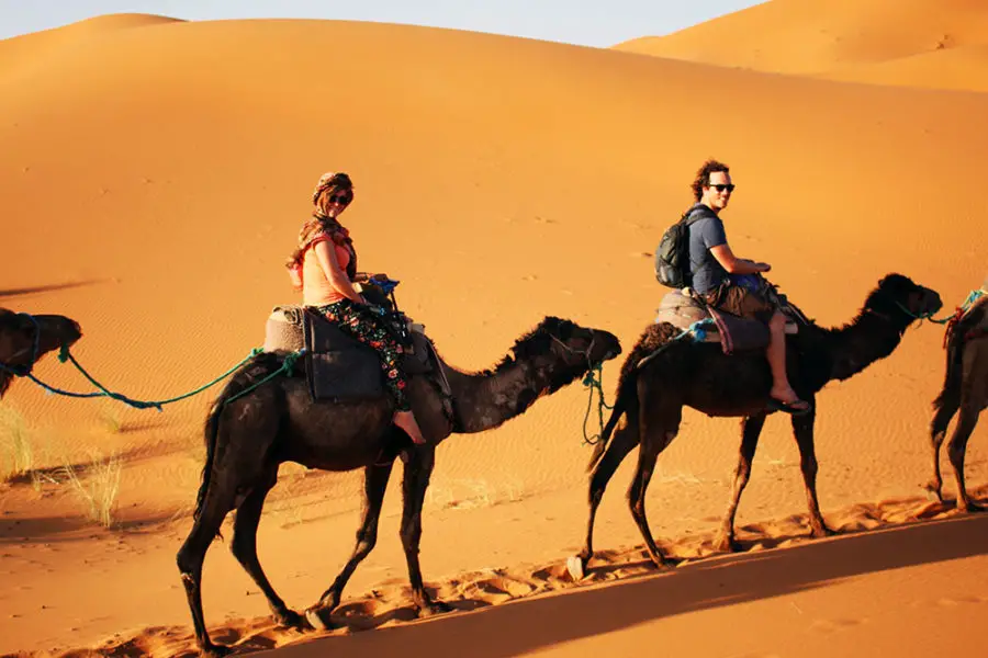 holiday travel insurance - On camel safari in the Sahara Desert, Morocco